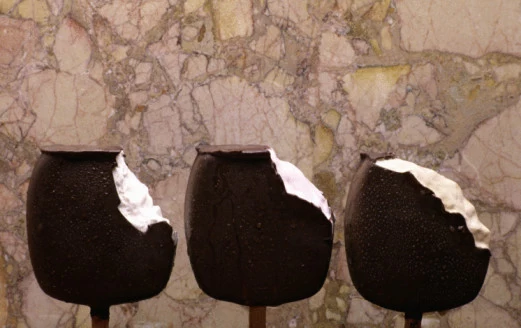 Ice Cream ZooFari with Meadow Gold