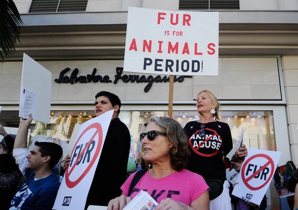 Anti-Fur Activists