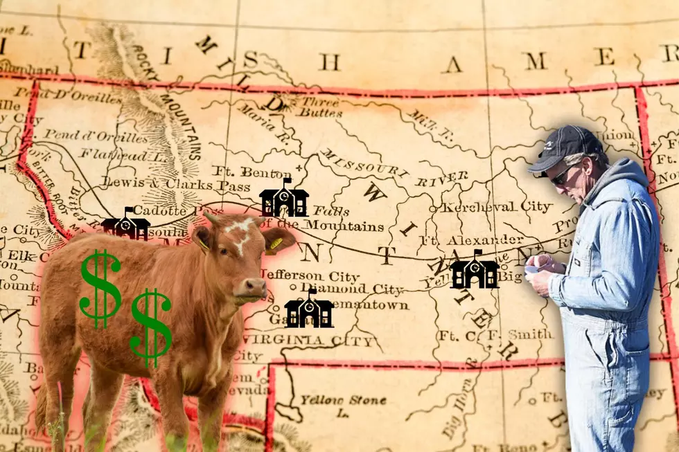 From Cows to Education: Montana Faces Tax Challenge