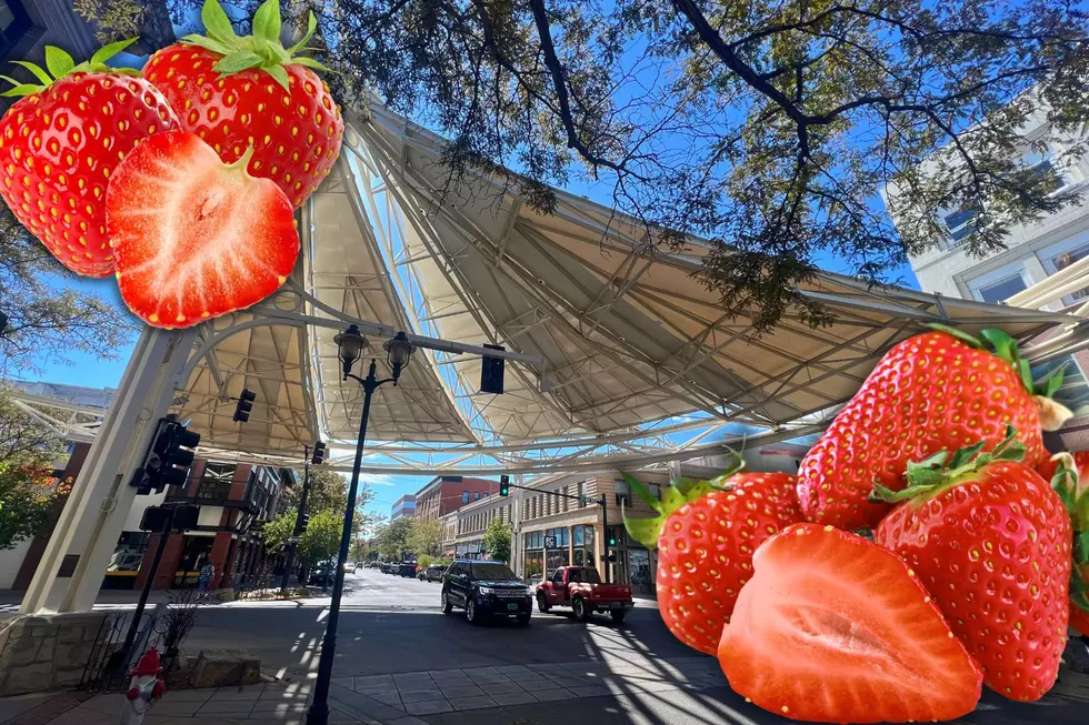 Celebrate the Strawberry in Downtown Billings This Saturday
