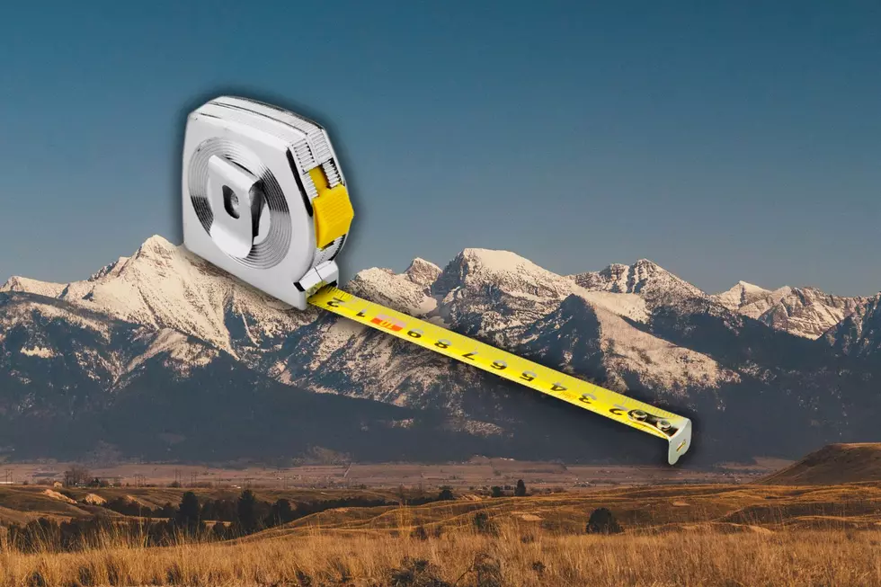 Is Montana Hung Up on the Word Big?
