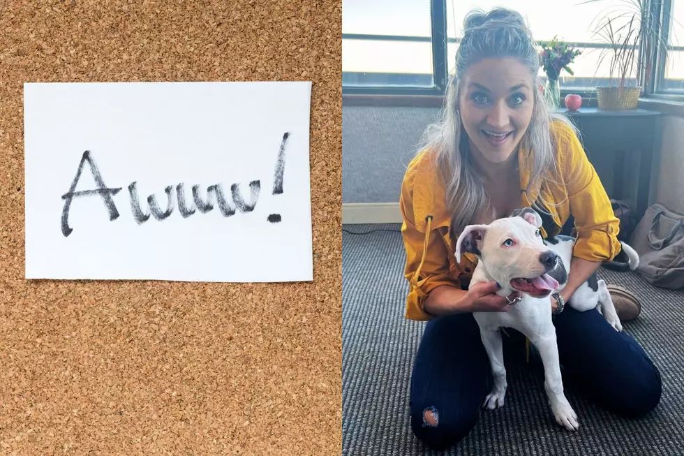 Your Heart Is MELTING! Azurite wins the heart of Morning Hosts