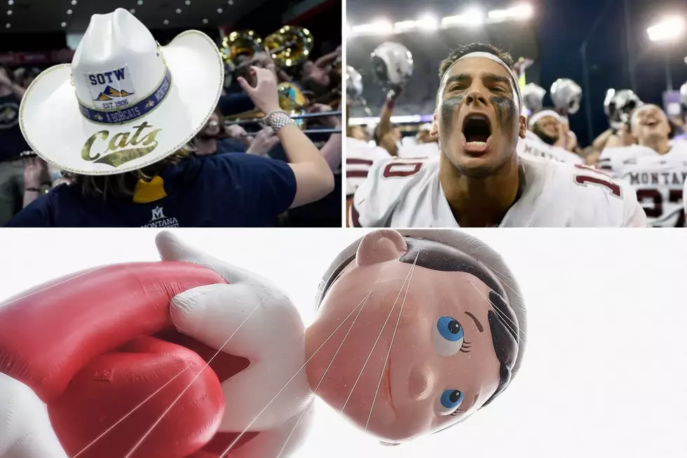 It’s Not “Brawl of the Wild”…and Elf on a Shelf is Creepy